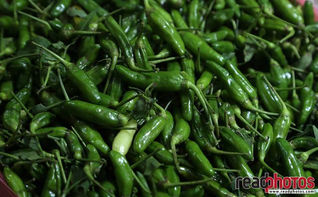 Green chili, Thalawakale, Sri Lanka - Read Photos