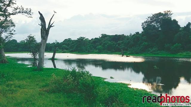 Lake view in the morning, mobile, Sri Lanka - Read Photos