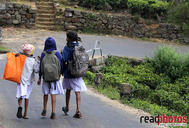 Kids upcountry Sri Lanka 10 - Read Photos