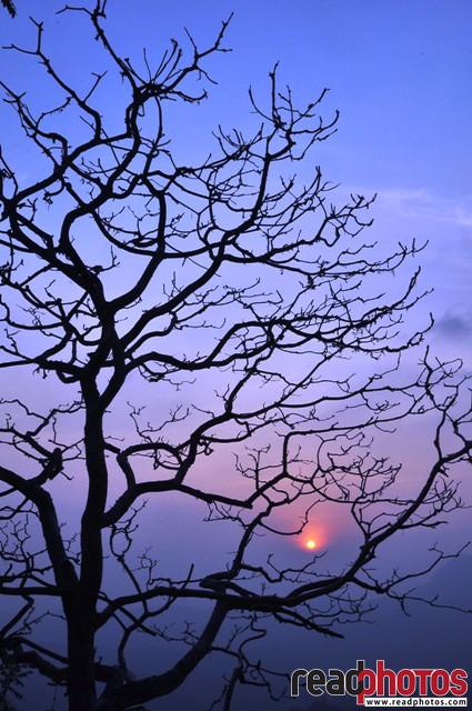 Sunrise, Sri Lanka - Read Photos