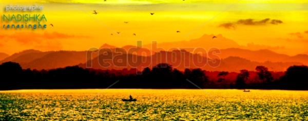 Sun set on a lake, Sri Lanka