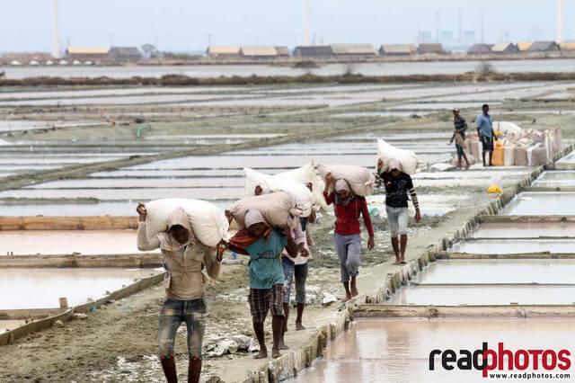 Working people in a saltern, Sri Lanka - Read Photos