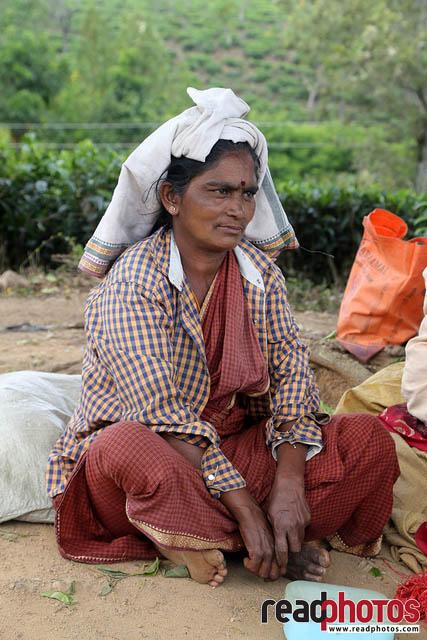 Upcountry tea pluckers Sri Lanka 7 - Read Photos