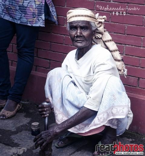 Old Lady making beetle leave, Sri Lanka