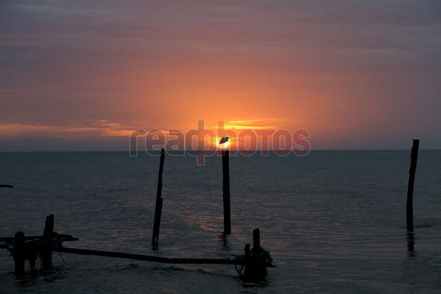 Sunset on a lake (3), Sri Lanka