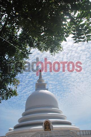 Japan peace pagoda (2), Unawatuna, Galle in Sri Lanka - Read Photos