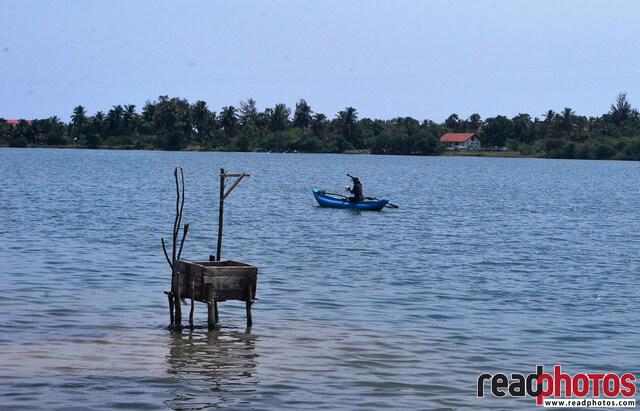 Man boating on a giant lake, Sri Lanka - Read Photos