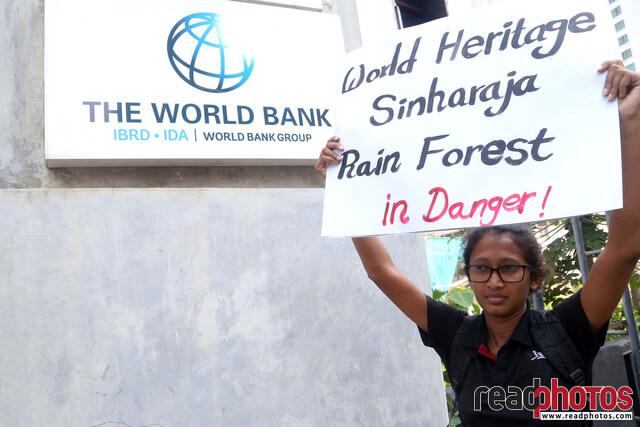 protest to protect sinharaja, Sri Lanka (2) - Read Photos