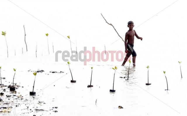Young boy playing, Sri Lanka - Read Photos